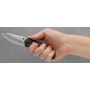 Нож складной Kershaw Thistle K3812